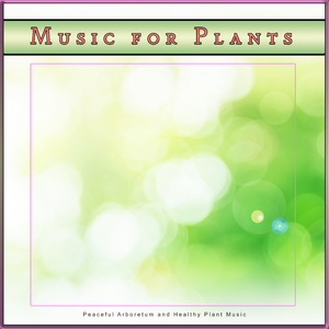 Focus Music for Plants