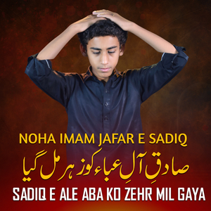 Sadiq E Ale Aba Ko Zehr Mil Gaya Noha Imam Jafar E Saqiq