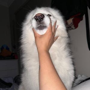我是天平座
