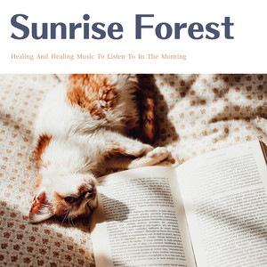 Resonance in the Morning