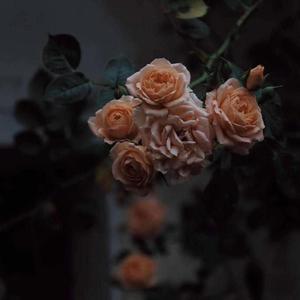 夜风