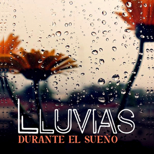 Sonidos De Lluvia, Ranas Y Perros