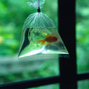 孤独旅程 (柔美钢琴曲)