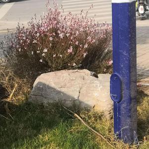 L(prod by jianastic.X)