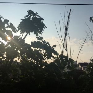 皮条彪B.Y.A / AM / Double-D - 光来之前Remix