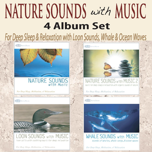 Pebble Beach At Sunset