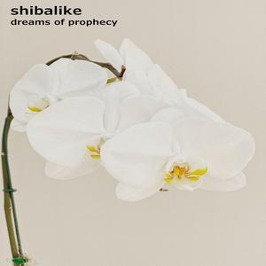 Industrial Mech Warrior