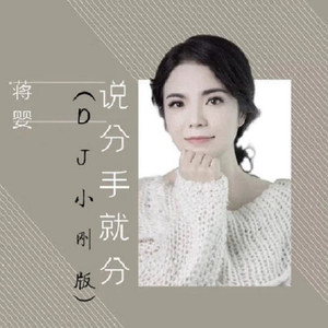 说分手就分手 (DJ小刚版)