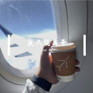 我只能离开DJ新版