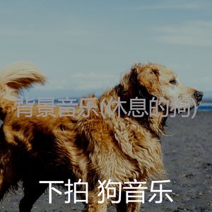 好啊(宠物午睡)