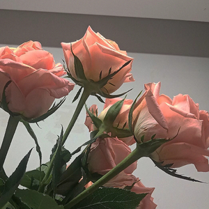 十一月的天气（cover by Darren达布希勒图）