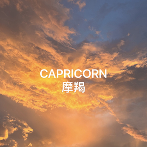 摩羯.wav
