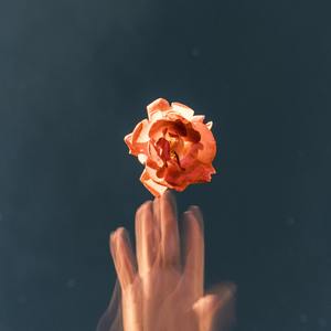 你是山楂树，我是你脚下的坟