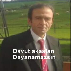 Dayanamazsın