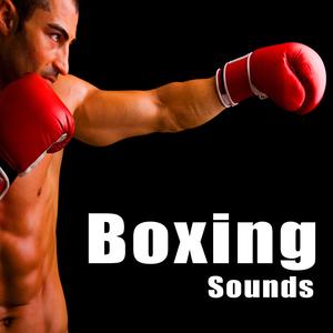 Single Punch on a Heavy Bag 1