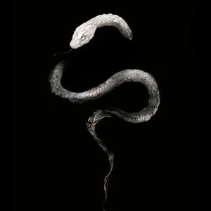 你爱的第一个人是你灵魂缺失的拼图