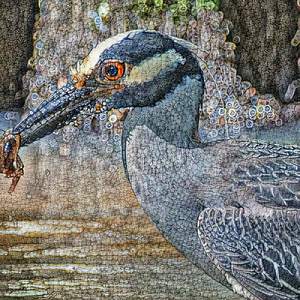 I Know I'm Part Of The Hood