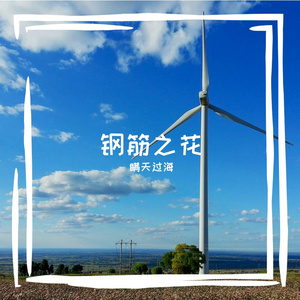 钢筋之花