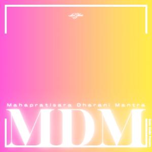 大随求陀罗尼心咒（纯享版）