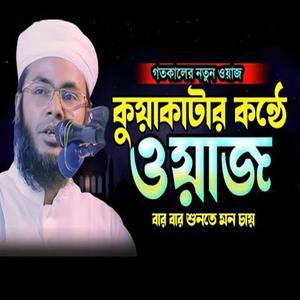 মাওলানা নিয়ামুল হক বিপ্লবী ওয়াজ