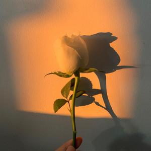 我把寂寞酿成酒DJ（翻自 王朗坤）