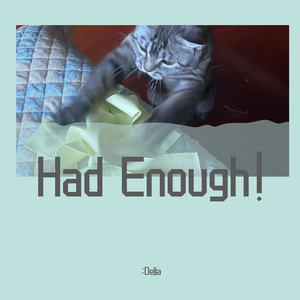 Had Enough！（demo）
