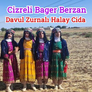 Arabik Halay