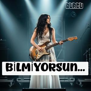 Bilmiyorsun