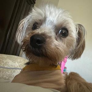 We are which (Radio Edit)