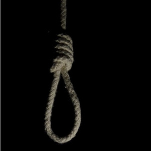 sorry i didn't say goodbye