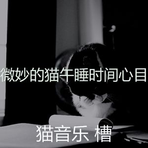 微妙的小猫心情