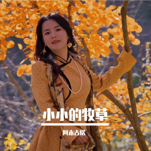 小小的牧草-阿木古楞