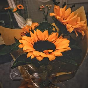 我会想起你