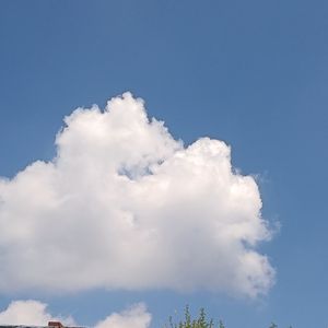 小美满(足迹吖)