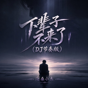 下辈子不来了(DJ节奏版)