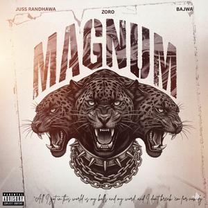 Magnum (feat. Bajwa)