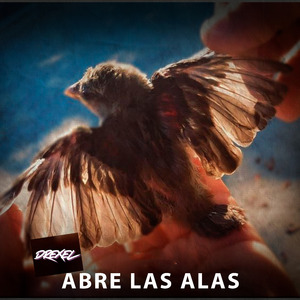 Abre las Alas