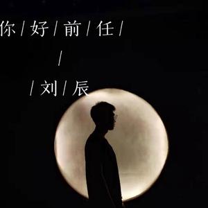 你好前任