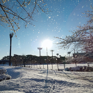 凍てつく氷の大地をイメージした音楽