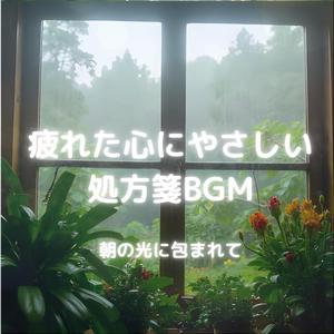 朝の光に包まれて