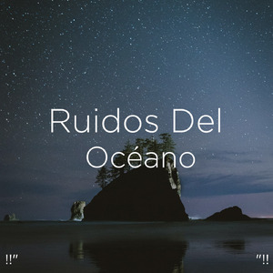 Le Bruit De L'Océan Pour Étudier