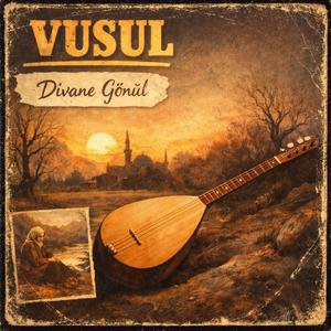 Divane Gönül (feat. Vusul Kadıoğlu)
