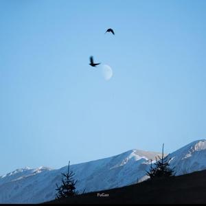 我的天空（三品大叔）