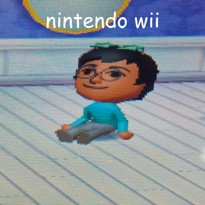 nintendo wii