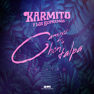 Caminos de la Chontalpa