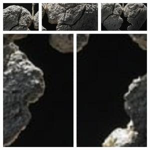 Juste moi et mon piano