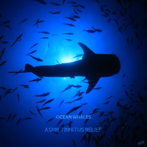 The Arctic Whalesongs