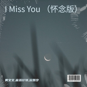 I Miss You (怀念版)