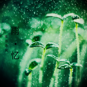 雨 • 忆