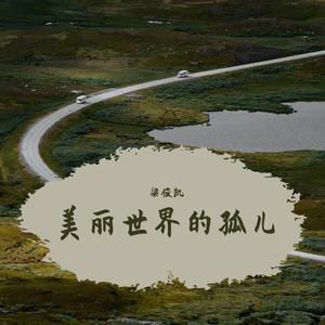 美丽世界的孤儿 （弹唱版）